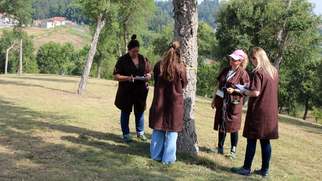 Levantamento do número de sobreiros