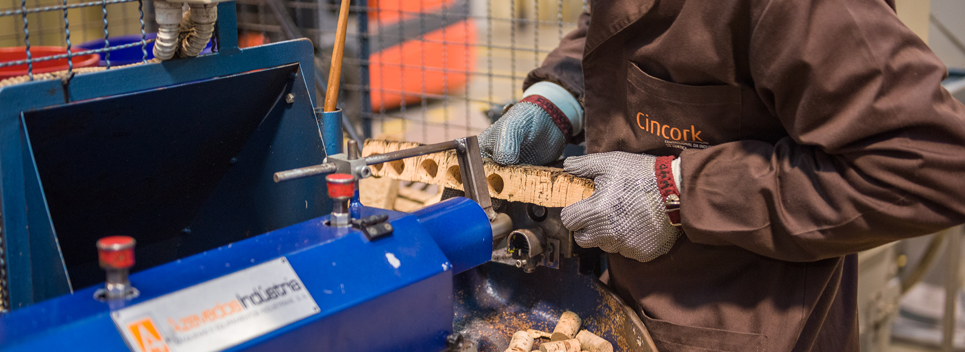 Percursos de Formação