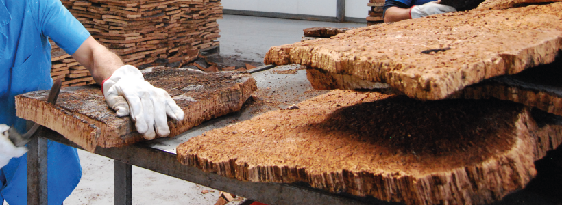 Imagem de Destaque do Curso: Técnicas de traçamento