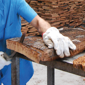 UFCD 4713 - Técnicas de Traçamento