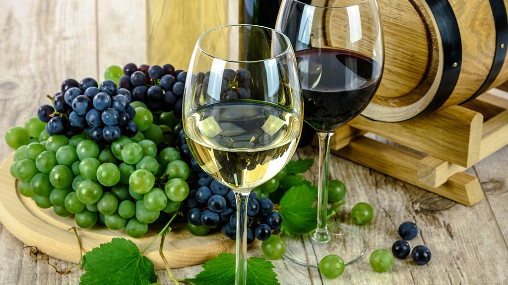 Análise Sensorial Básica de Vinhos