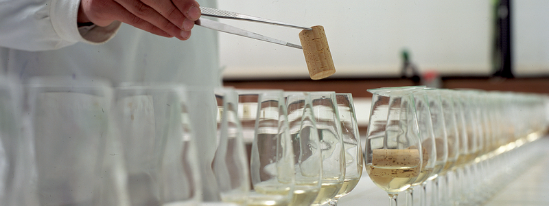 Imagem de Destaque do Curso: UFCD 4794 - Segurança alimentar aplicada à indústria rolheira