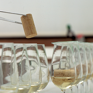 UFCD 4794 - Segurança alimentar aplicada à indústria rolheira