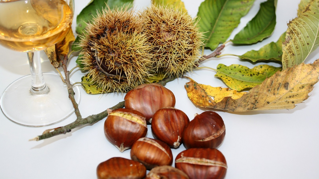 Comunidade formativa celebra o S. Martinho