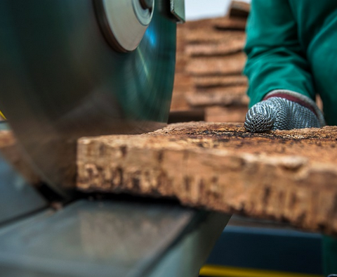 UFCD 4723 - Técnicas de rabaneação