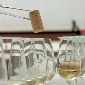 Imagem de Destaque do Curso: UC01320 - Aplicar práticas de gestão da qualidade e segurança alimentar na indústria da cortiça