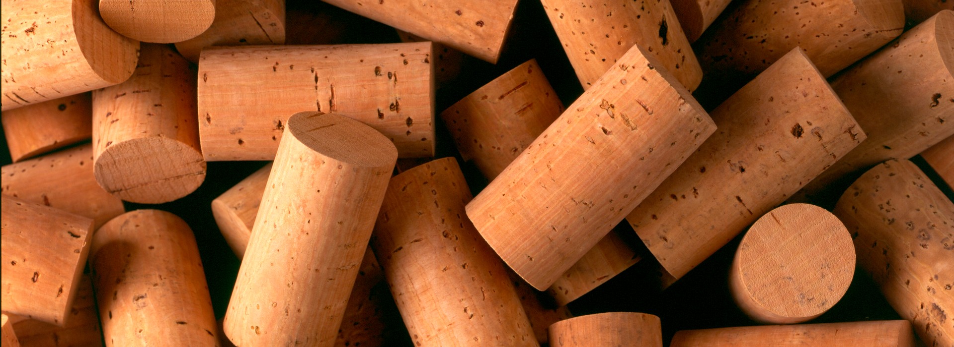 UFCD 4730 - Técnicas de escolha visual de anomalias de rolhas