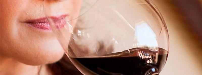 Imagem de Destaque do Curso: UFCD 8203 - Análise sensorial básica de vinhos