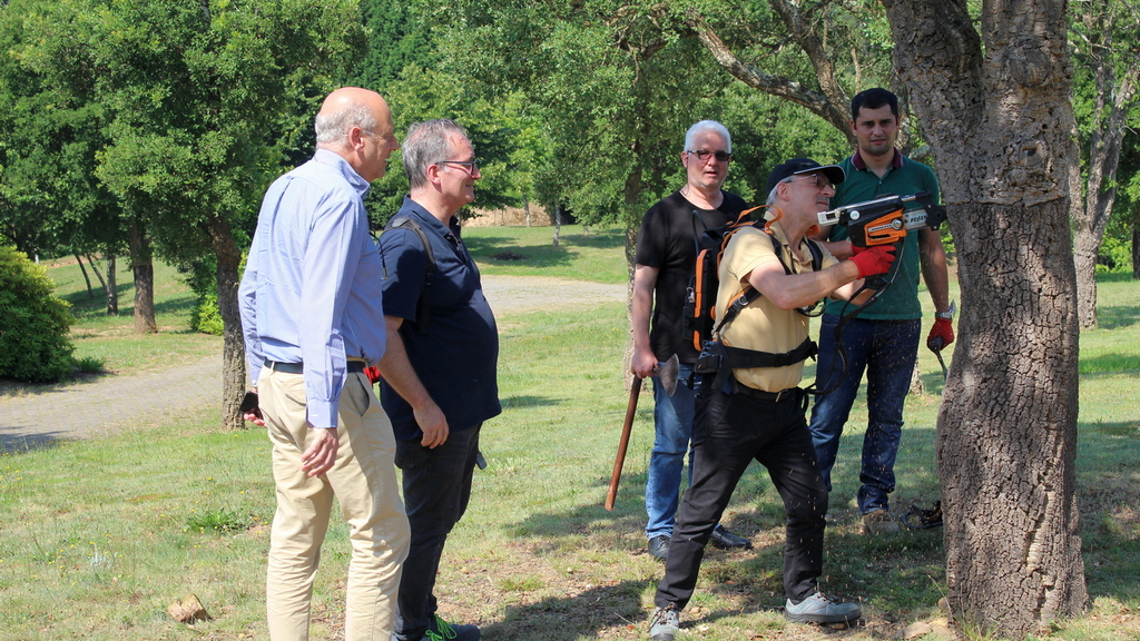 Cincork promove descortiçamento sustentável