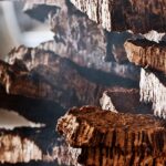 UFCD 4715- Técnicas de seleção de cortiça cozida - iniciação