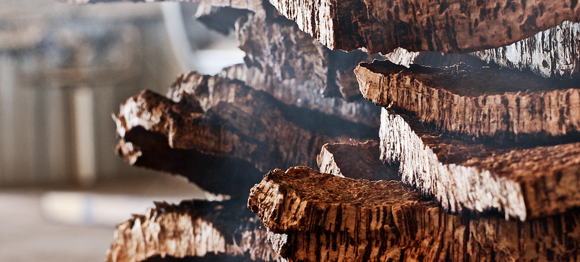 Imagem de Destaque do Curso: UFCD 4715- Técnicas de seleção de cortiça cozida - iniciação