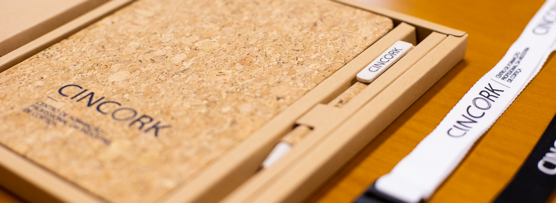 Formação em Destaque