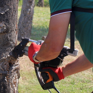 UFCD 8354 - Segurança e saúde no trabalho florestal