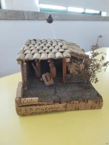 Pigeiros 1ciclo Mh