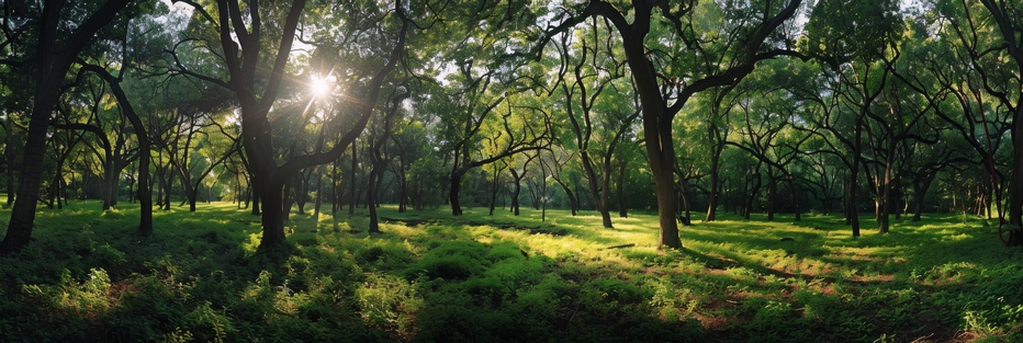 UC04222 - Realizar ações de ecologia geral no âmbito da gestão ambiental